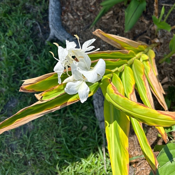 Meet your Posher, Gina - Picture 10 of 13